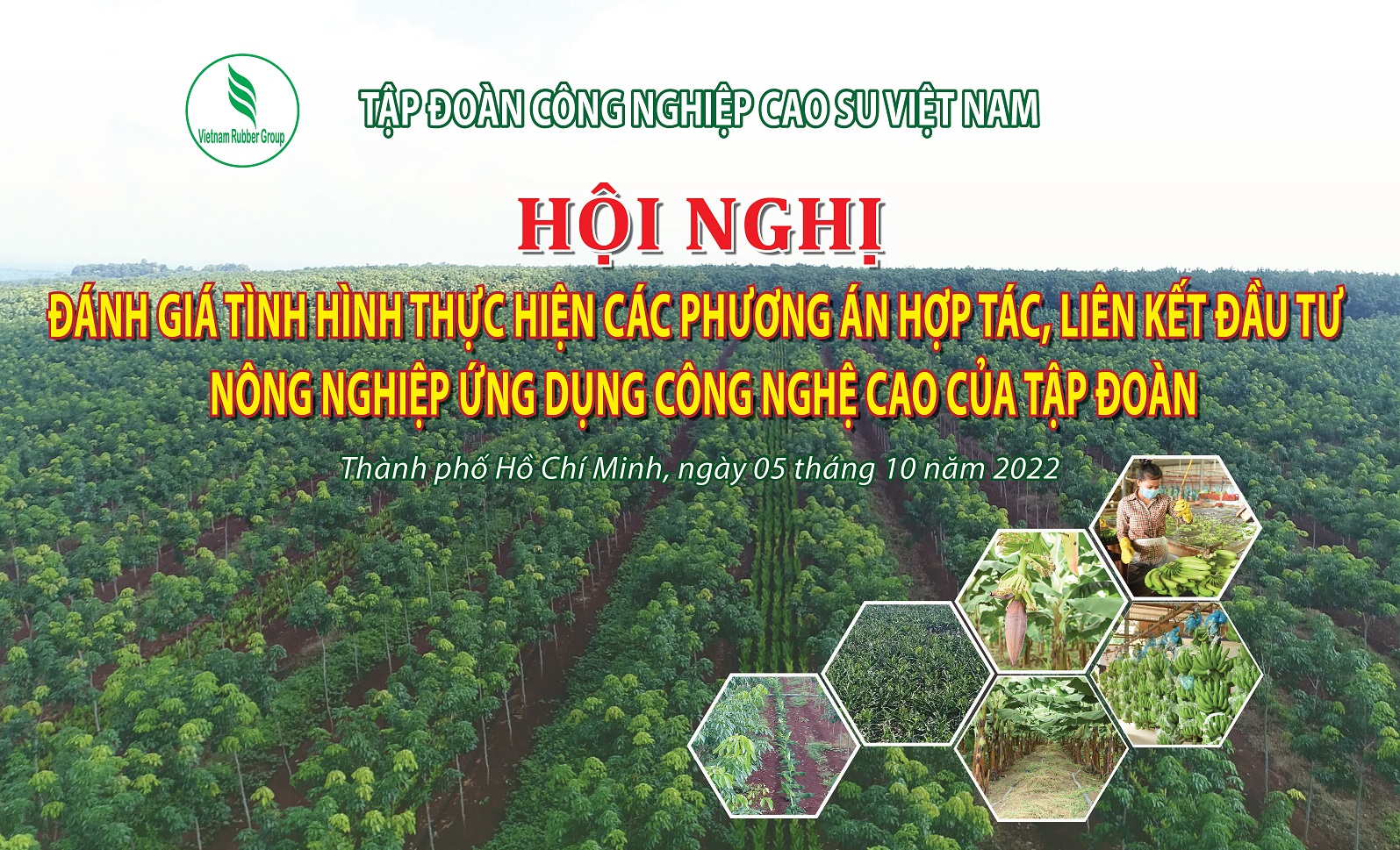 “Các đơn vị phải quyết liệt trong việc phát triển Nông nghiệp ứng dụng công nghệ cao”